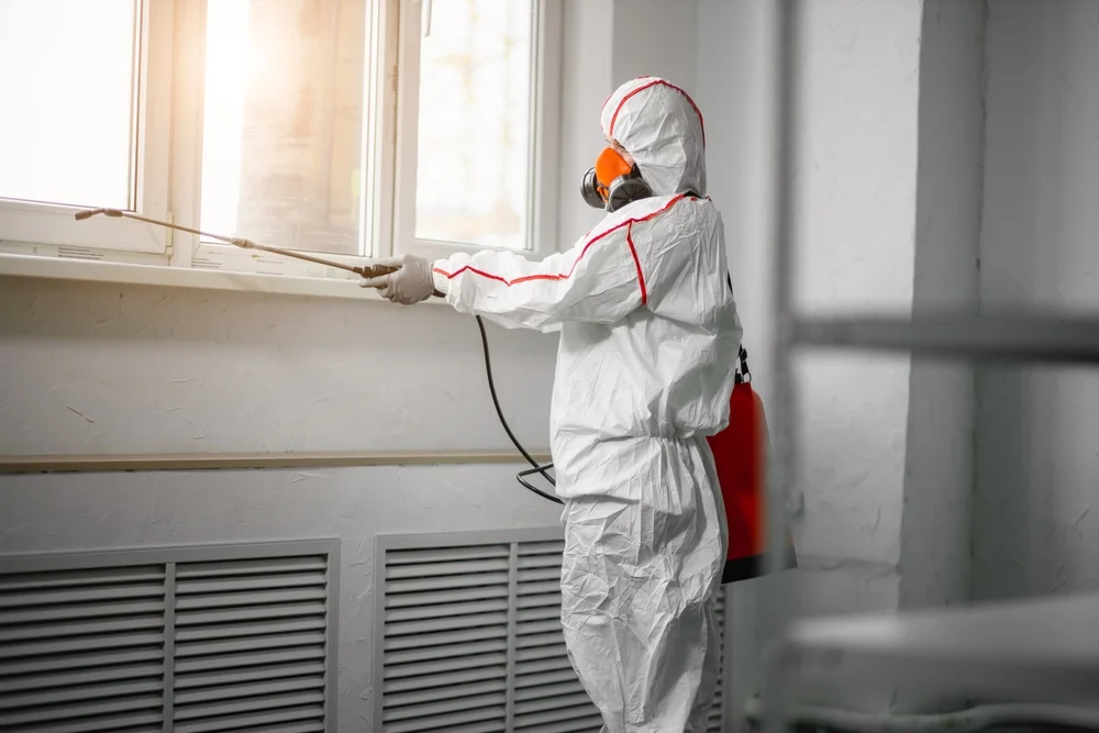 Professional mold remediation services in Ruth, MI